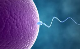 150421212330-02-questions-on-infertility-super-169-min